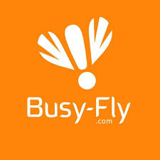 Busy-fly