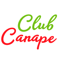 Canape club