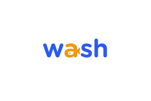 Portal wash