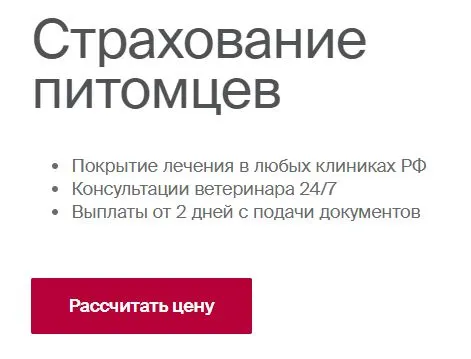 Скриншот проверки