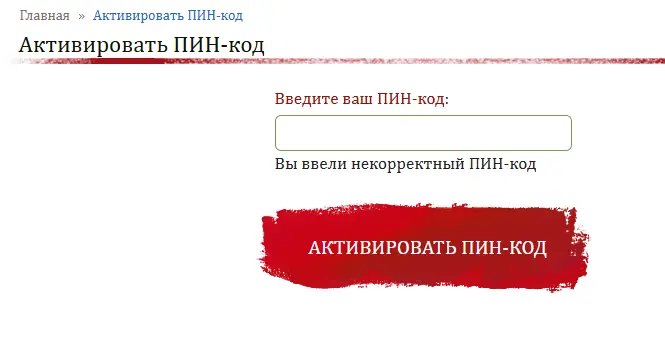 Скриншот проверки