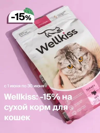 Скриншот подтверждения применения купона Wellkiss: -15% на сухой корм для кошек