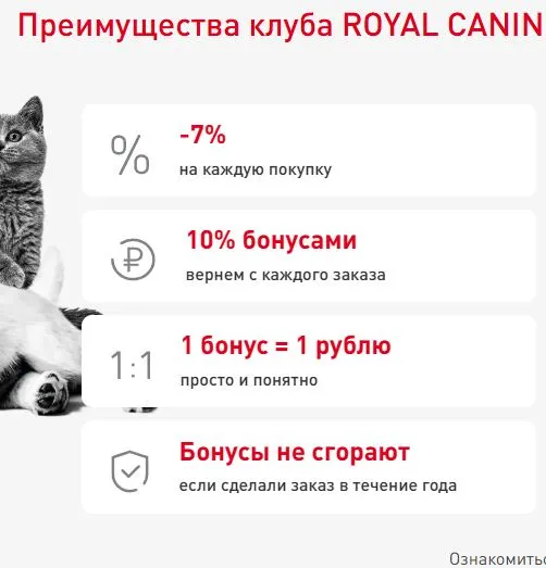 Скриншот проверки