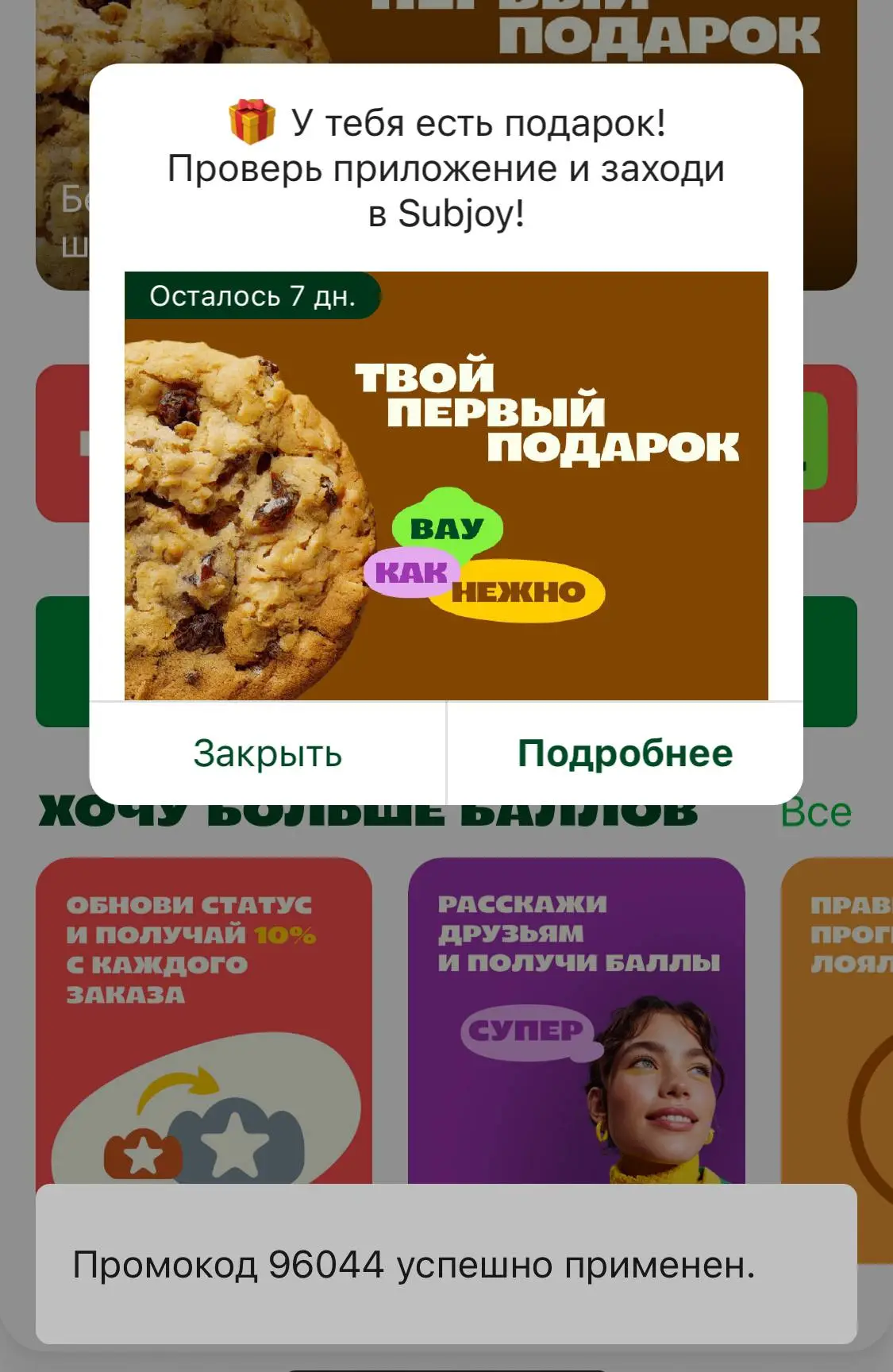 Скриншот проверки