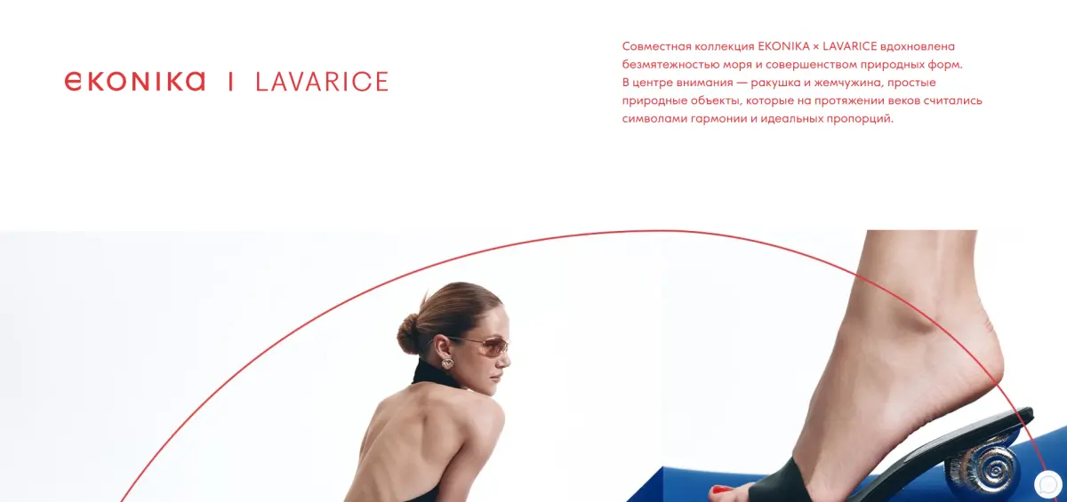 Скриншот подтверждения применения купона Совместная коллекция EKONIKA × LAVARICE