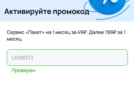 Скриншот подтверждения применения купона LKN8313