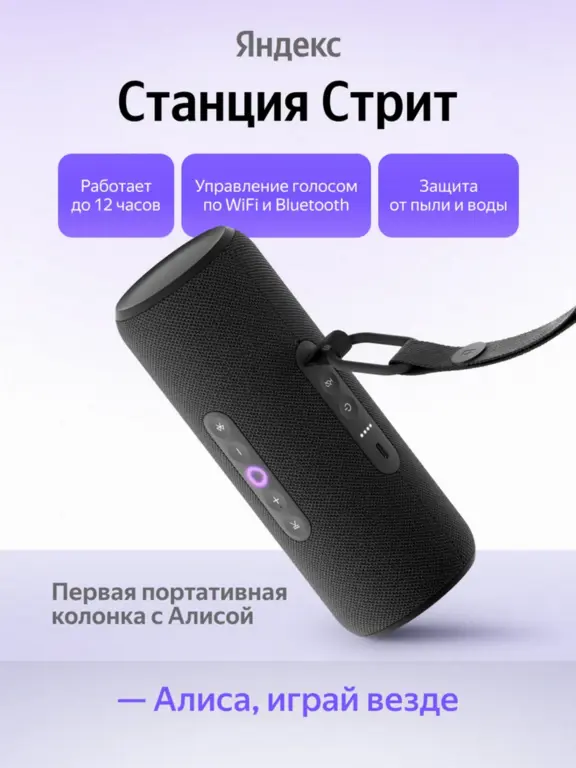 Умная портативная колонка Яндекс Станция Стрит