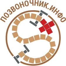 Позвоночник