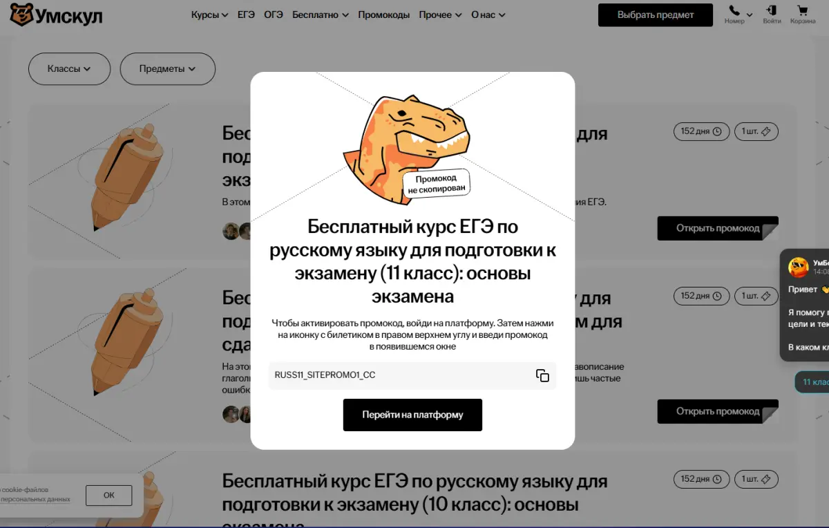 Скриншот проверки