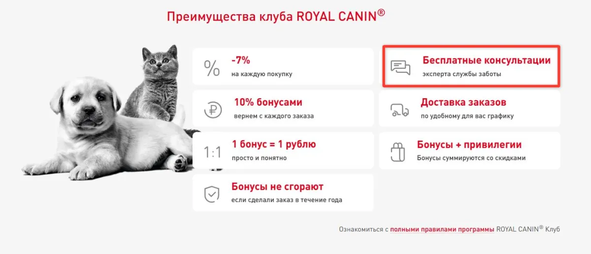 Скриншот проверки