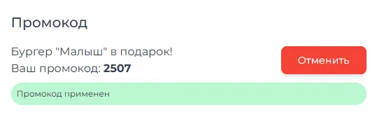 Скриншот проверки