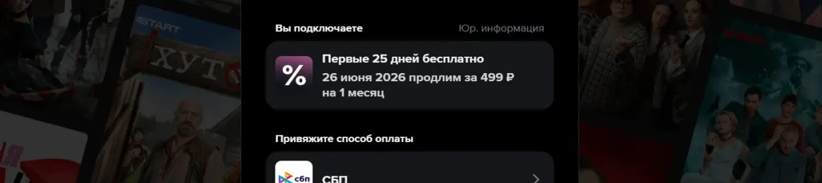 Скриншот подтверждения применения купона pfpikadil25