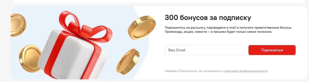 Скриншот подтверждения применения купона +300 бонусов за подписку на рассылку