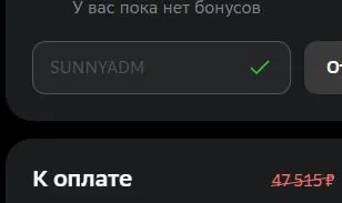 Скриншот подтверждения применения купона SUNNYADM