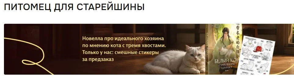 Скриншот подтверждения применения купона Подарок к "Гейм-поинту" - акриловый стенд с героями
