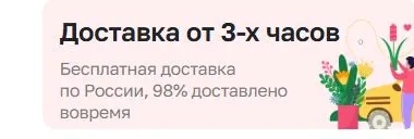Скриншот подтверждения применения купона Бесплатная доставка днём 
