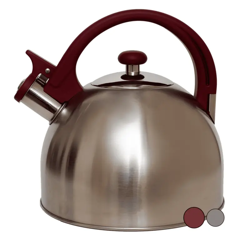 Чайник Kitchen Collection WTK167RH из нержавеющей стали на 3л, разные цвета ручки