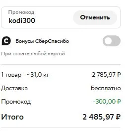 Скриншот подтверждения применения купона kodi300