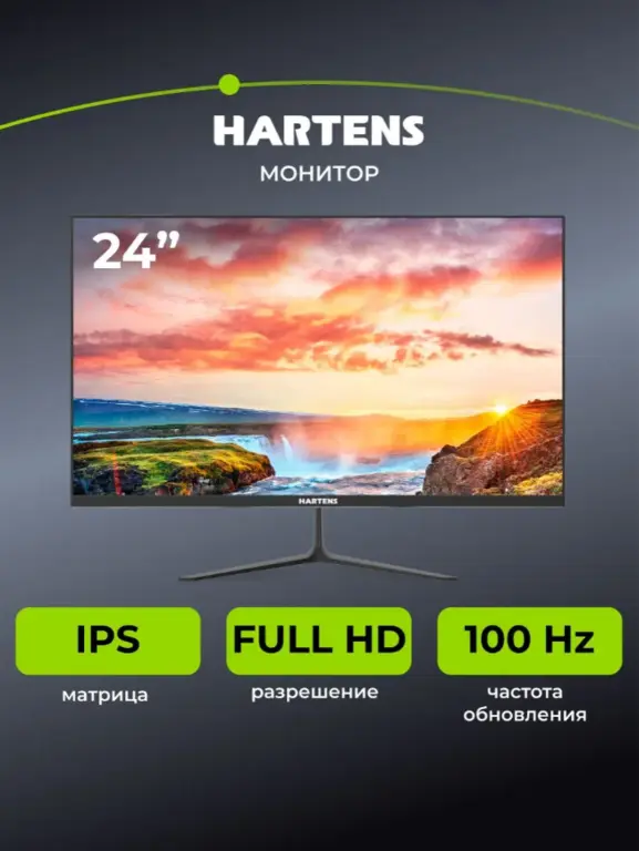 Монитор Hartens HTM24OP100 24"