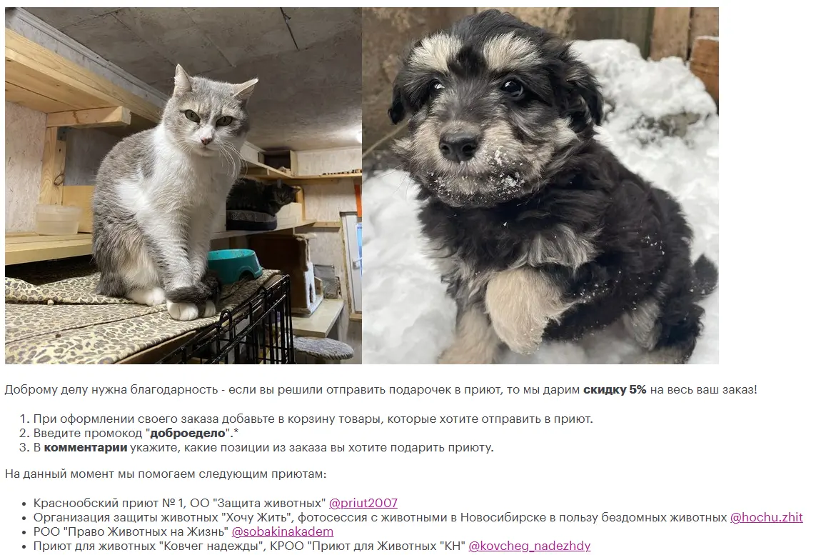 Скриншот проверки