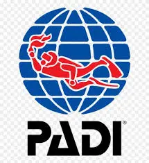 Padi
