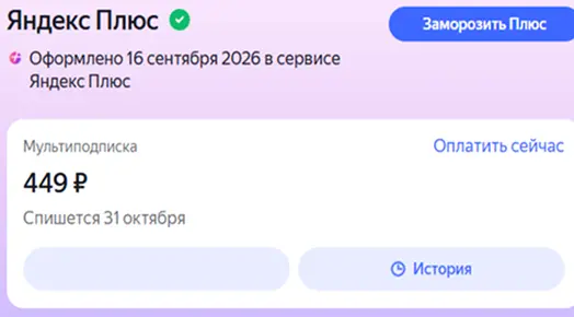Скриншот проверки