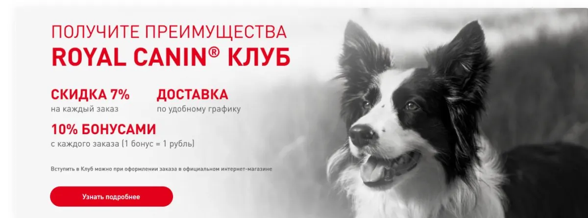 Скриншот проверки