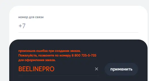 Скриншот подтверждения применения купона BEELINEPRO