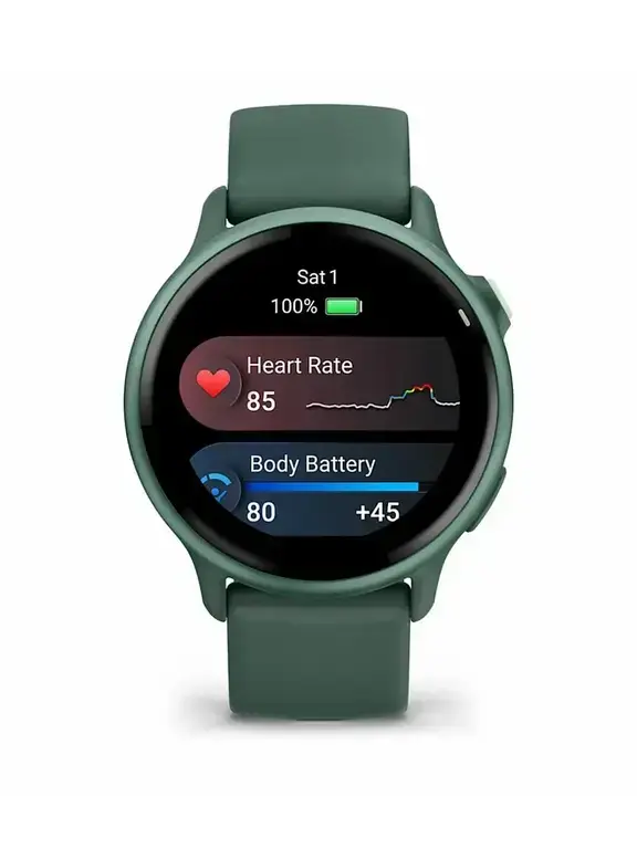 Умные часы Garmin vivoactive 6