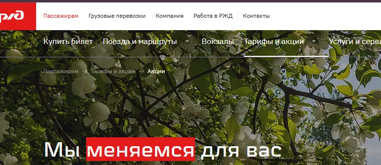 Скриншот подтверждения применения купона Скидка до 20% на билеты в купе