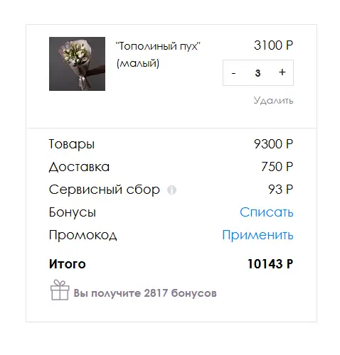 Скриншот проверки