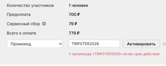 Скриншот подтверждения применения купона TRIPSTER2026