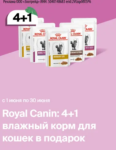 Скриншот подтверждения применения купона Royal Canin: 4+1 влажный корм для кошек в подарок