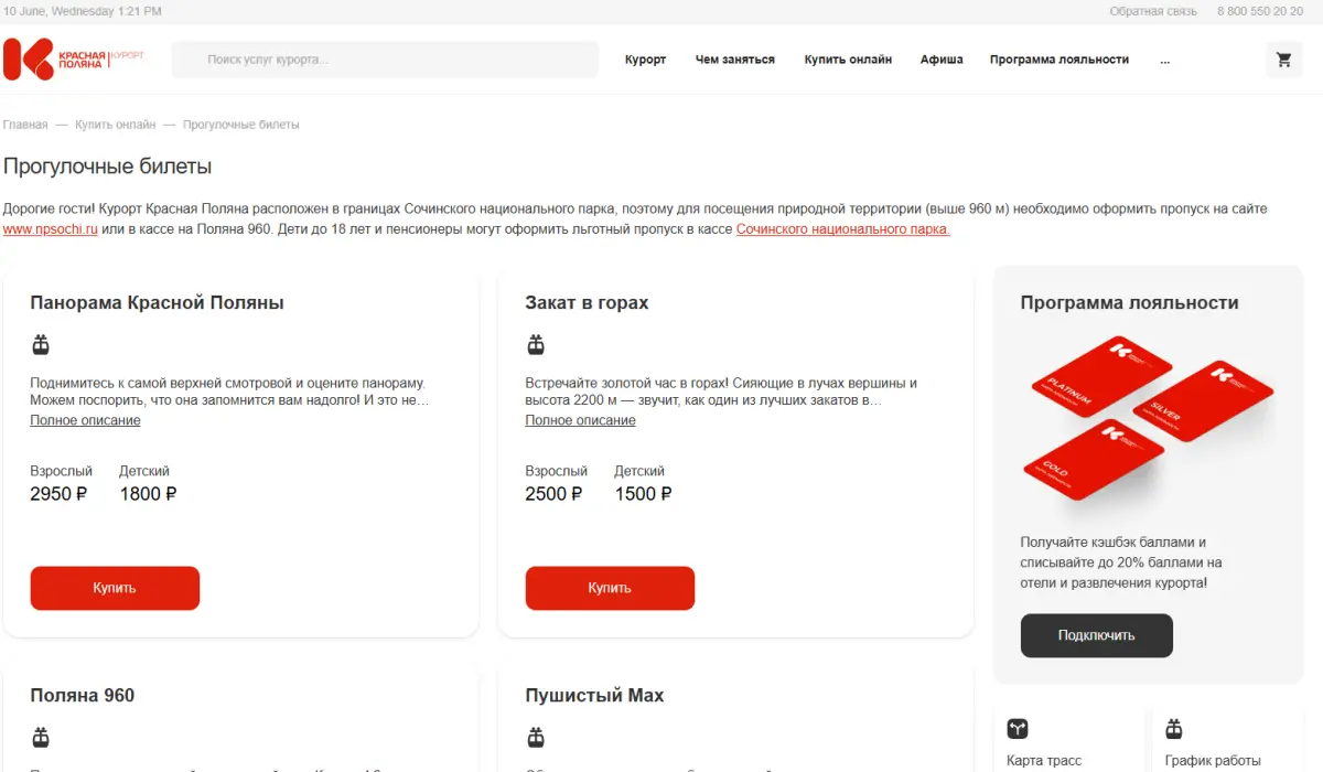 Скриншот подтверждения применения купона Прогулочные билеты от 1500р.