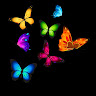 user img