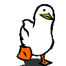 user img